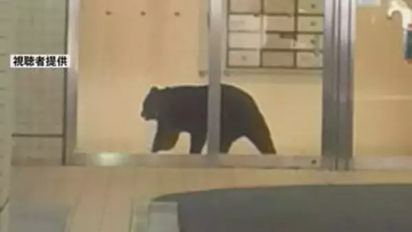 青森市中心部の複合商業ビルにクマ1頭が居座る　緊急銃猟で駆除