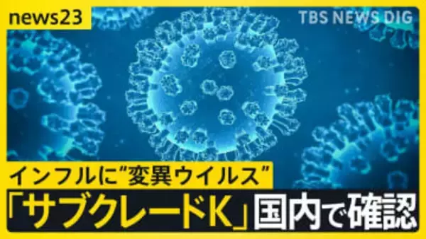インフルエンザ“警報レベル”の急拡大　変異ウイルス「サブクレードＫ」国内で確認　ワクチン効果は？【news23】