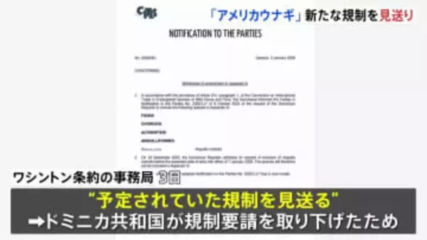 「アメリカウナギ」新たな規制見送り　日本では“かば焼き”など加工品で多く消費　規制要請のドミニカ共和国が取り下げたため