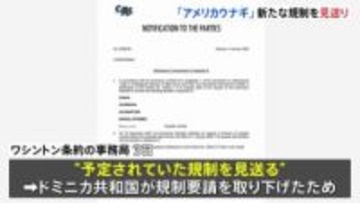 「アメリカウナギ」新たな規制見送り　日本では“かば焼き”など加工品で多く消費　規制要請のドミニカ共和国が取り下げたため