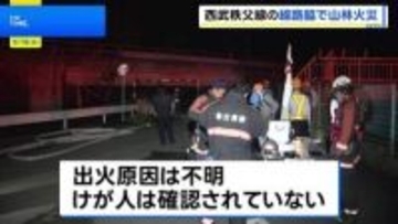 西武秩父線沿線で山林火災 一時運転見合わせ　けが人なし　埼玉・横瀬町