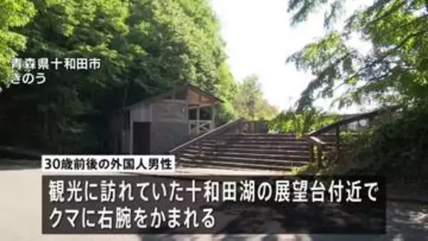 クマに襲われ外国人男性1人けが、命に別状なし　青森・十和田市