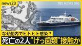 「【ハンタウイルスでWHO会見】5人感染・3人感染疑い確認 「公衆衛生上のリスクは低い」なぜ船内でヒトヒト感染？死亡の2人“げっ歯類”に接触か【news23】」の画像1