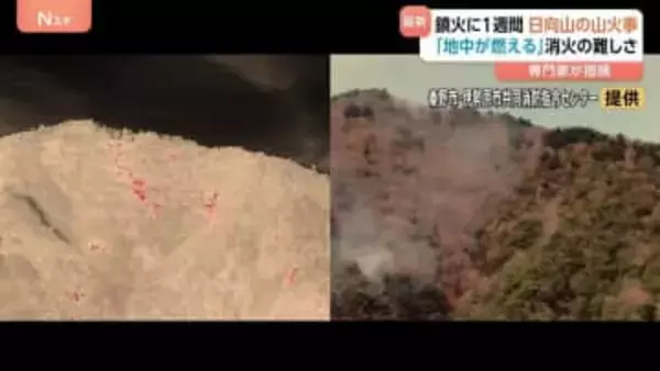 「大規模山火事時代が到来」相次ぐ山火事に専門家が指摘　消防を苦しめる「燻焼」とは？ 神奈川の日向山は鎮火に1週間