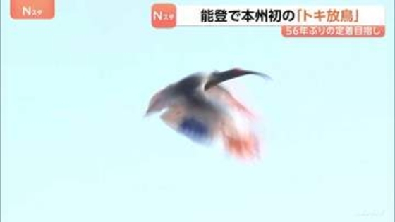 石川で本州初の「トキ放鳥」56年ぶり能登の空に…秋篠宮ご夫妻も出席　野生復帰に向け環境整備が進められる　羽咋市