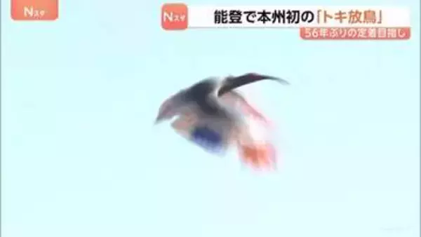 石川で本州初の「トキ放鳥」56年ぶり能登の空に…秋篠宮ご夫妻も出席　野生復帰に向け環境整備が進められる　羽咋市