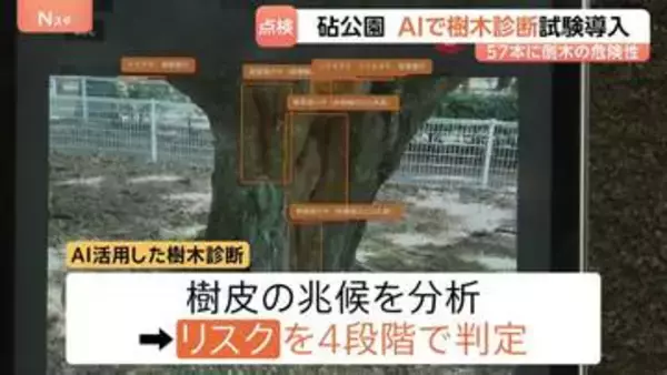 立ち入り制限も…倒木相次ぐ東京・砧公園でAI活用した樹木診断を試験的に開始　AI活用の目的は「効率化やスピードアップ」