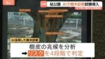 立ち入り制限も…倒木相次ぐ東京・砧公園でAI活用した樹木診断を試験的に開始　AI活用の目的は「効率化やスピードアップ」
