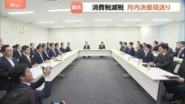 食料品の消費税減税 月内の決着見送り 「実質ゼロ化」案に野党反発で議論膠着