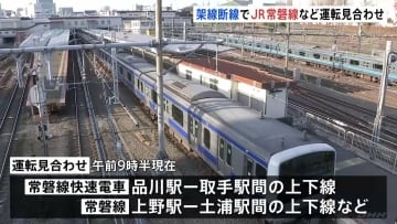 JR上野駅で架線が断線 常磐線など運転見合わせ続く　駅と駅の間で停止した電車の乗客を線路に降ろして誘導　JR東日本