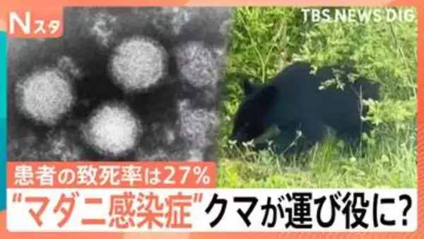 患者の致死率27％ “マダニ感染症”SFTSが過去最多ペース　クマやアライグマが“運び役”に？【Nスタ】