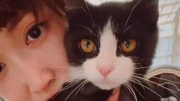保護猫【 紗栄子 】〝「ずっとの家族」を随時募集〟〝一つの里親決定が二つの命を救う〟