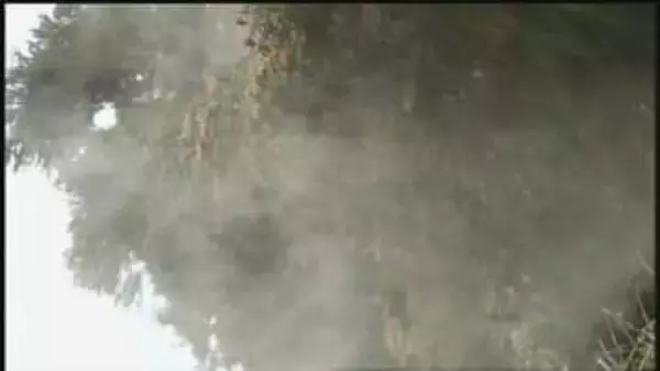 「目を取り出して洗いたい」　雨上がり、強風…花粉“大量飛散”の一日　今できる対策は？“花粉地獄”いつまで？森田さん解説【news23】