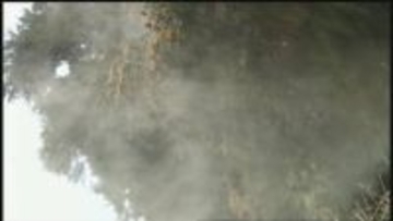 「目を取り出して洗いたい」　雨上がり、強風…花粉“大量飛散”の一日　今できる対策は？“花粉地獄”いつまで？森田さん解説【news23】