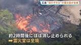 「「消えずの火」の霊火堂が全焼 空海が修行し1200年以上燃え続けていると伝わる護摩の火など歴史ある寺院で火事」の画像1