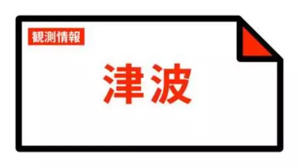 【津波情報】津波の観測情報  19:54時点