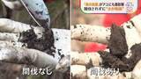 「「森の放置」が川の魚に悪影響 30年でアユ激減　手入れされない木が招く“土の乾燥”…大量の土砂が川に」の画像1