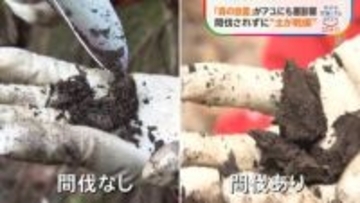 「森の放置」が川の魚に悪影響 30年でアユ激減　手入れされない木が招く“土の乾燥”…大量の土砂が川に