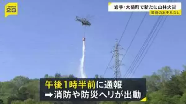 岩手・大槌町で新たな山林火災 消防や防災ヘリが出動し消火活動 火の勢い収まる