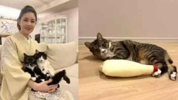 【藤あや子】今年最後の身支度「問題はじゃこだね〜」　苦悩を告白「せっかくのおもちゃも爪が引っかかってるし、やっぱり病院で切ってもらうしかないのかな」