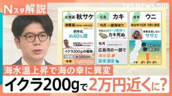 イクラ200g「2万円」近くに？北海道で秋サケ40％減・“ハワイの魚”シイラ大漁…海水温上昇で各地の海の幸に異変、漁業に大打撃【Nスタ解説】