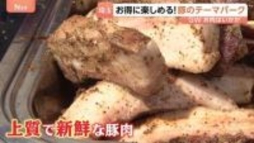 オープン前から大行列！“豚のテーマパーク”「サイボク」 入場料無料で食べて買って遊べて GWのお出かけにピッタリ！