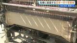 「「復興ではなく復活」熊本地震と去年の大雨被害から再起へ 危機に直面する国内9割のイ草産地 熊本地震まもなく1か月【 現場から、】」の画像1