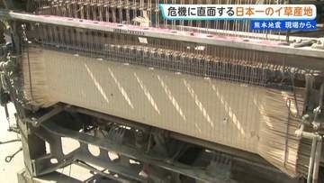 「復興ではなく復活」熊本地震と去年の大雨被害から再起へ 危機に直面する国内9割のイ草産地 熊本地震まもなく1か月【 現場から、】