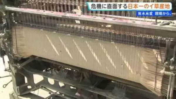 「復興ではなく復活」熊本地震と去年の大雨被害から再起へ 危機に直面する国内9割のイ草産地 熊本地震まもなく1か月【 現場から、】