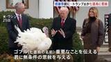 「トランプ大統領が「七面鳥に恩赦」 感謝祭の“罪滅ぼし”としてホワイトハウスで恒例行事」の画像1