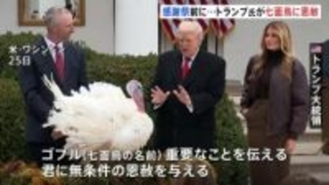 トランプ大統領が「七面鳥に恩赦」 感謝祭の“罪滅ぼし”としてホワイトハウスで恒例行事