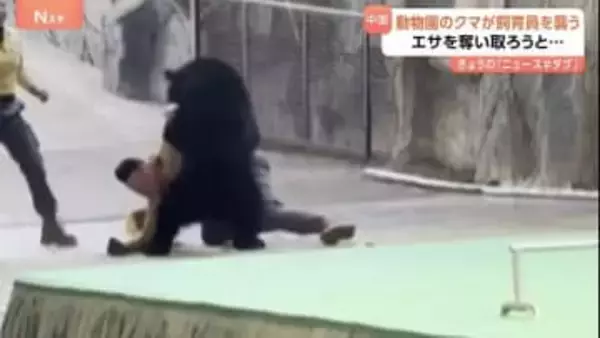 「人懐っこいクマ」のはずが…なぜ？中国の動物園のクマが飼育員に襲いかかる