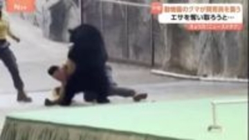「人懐っこいクマ」のはずが…なぜ？中国の動物園のクマが飼育員に襲いかかる