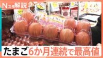 たまご 6か月連続で最高値を更新、スーパー担当者「上がってくる要素しかない、今が一番最安値」【Nスタ解説】