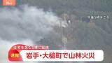 「岩手・大槌町で山林火災 住宅含む5棟に延焼　県が災害特別警戒本部を設置」の画像1