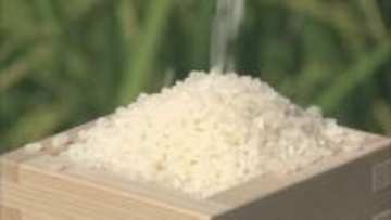 コメの平均価格が10週ぶり値上がり…ただ下落基調続き前の年より8%安い水準