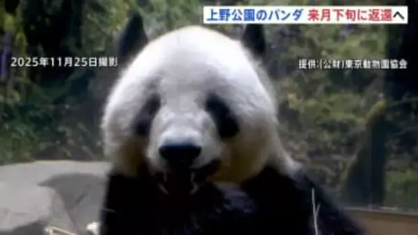 上野動物園のパンダ「シャオシャオ」「レイレイ」 1月下旬に中国返還　国内のパンダ「0頭」に　新たなパンダ貸与に向け交渉続けるも「具体的な回答なし」