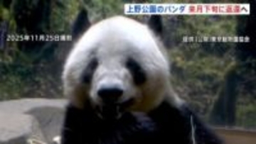 上野公園のパンダ「シャオシャオ」「レイレイ」1月下旬に中国返還へ 期限より1か月早く… 国内のパンダ「ゼロ」に