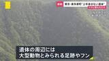 「クマに襲われた可能性…“上半身のない遺体”が東京・埼玉にまたがる峠に　各地で相次ぐクマ被害「一段ギアを上げて取り組む」政府が対策会議【news23】」の画像1