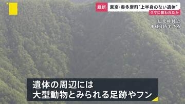 クマに襲われた可能性…“上半身のない遺体”が東京・埼玉にまたがる峠に　各地で相次ぐクマ被害「一段ギアを上げて取り組む」政府が対策会議【news23】