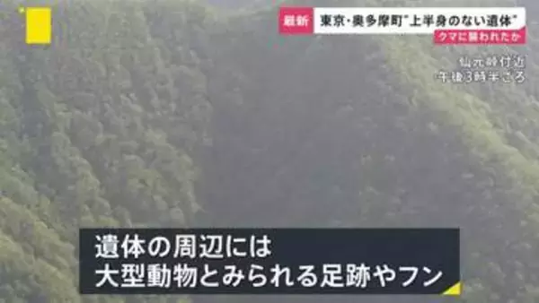 クマに襲われた可能性…“上半身のない遺体”が東京・埼玉にまたがる峠に　各地で相次ぐクマ被害「一段ギアを上げて取り組む」政府が対策会議【news23】