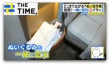 ぬいぐるみ“専門病院”や“一緒にお泊りプラン”も大盛況…広がる「ぬい活市場」【THE TIME,】