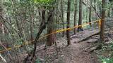 「山林で91歳女性の遺体発見　殺人か　住居侵入の疑いで現行犯逮捕のベトナム国籍の男（33）が殺害と死体遺棄ほのめかす　埼玉・飯能市」の画像1