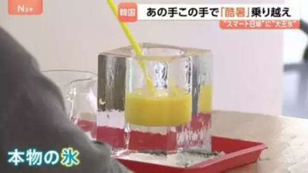 42.5℃猛暑の韓国で大バズり “コップ全体が氷”＆マイナス5℃の極寒部屋　酷暑ビジネスの最前線を取材