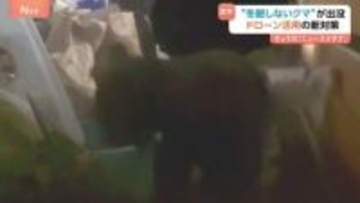 真冬なのに…“冬眠しないクマ”出没「体長1m超」カメラがとらえた民家侵入の一部始終　ドローンでクマよけスプレー噴射の新対策も