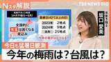 「東北で今年初の猛暑日に…これから暑さはどうなる？　暑さ続き“猛暑割引”サービスも急遽前倒しも【Nスタ解説】」の画像1