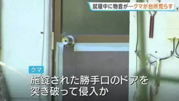 住宅にクマが侵入 食料品荒らす 施錠されていた勝手口ドアを突き破って侵入か けが人なし 長野・松本市