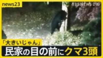 3連休の行楽地に“クマ”の影響「きょうは目撃したのか？」の問い合わせも　各地で人的被害も相次ぐ「キノコ採り」で山に入り“鼻を引っかかれる”【news23】
