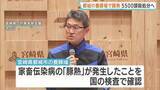 「宮崎・都城市で「豚熱」発生確認　養豚場のブタ約5500頭ただちに殺処分　養豚「全国1位」の一大養豚地帯で家畜伝染病」の画像1