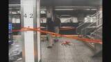 「米NY・グランドセントラル駅 ホームにいた3人がなたのような刃物で切りつけられけが」の画像1